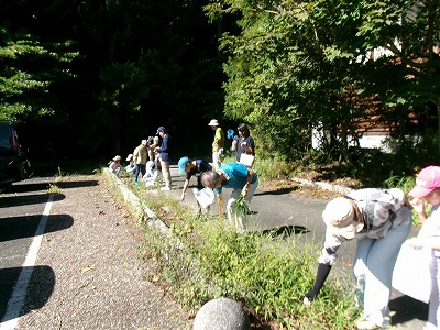 びっくり生きものアラカルト