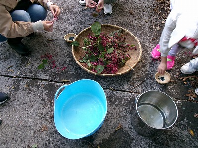 ”みなっち”と空と森の遊び時間