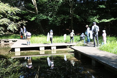 いろいろな生きものを探そう