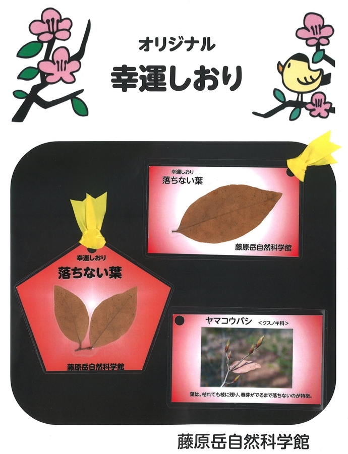 幸運しおり