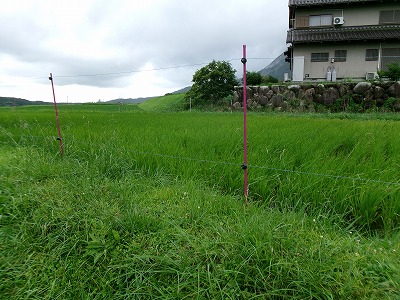 田んぼと畑の学校