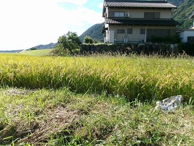 田んぼと畑の学校