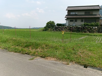 田んぼと畑の学校