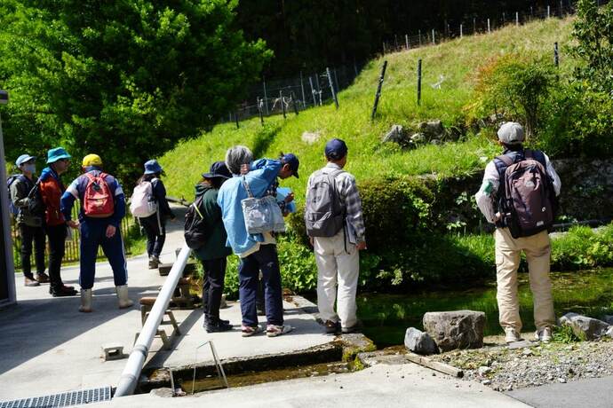 写真:令和6年度「春の動植物をたずねて」