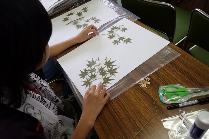 写真：令和6年度「植物標本をつくろう」