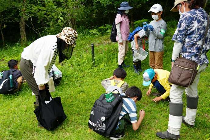 写真:令和6年度「キノコを見る会」