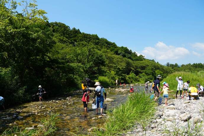 写真:令和6年度「宇賀川の自然調べ」