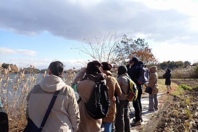 写真：令和6年度「冬の野鳥を見る会」