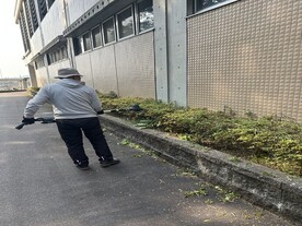 草刈り