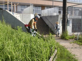 草刈り