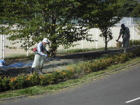 草刈り