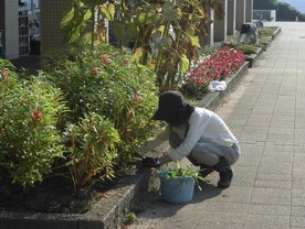 草刈り