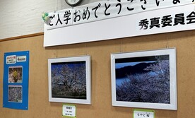 地域