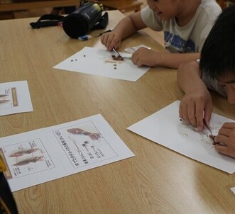 びっくり生きものアラカルト