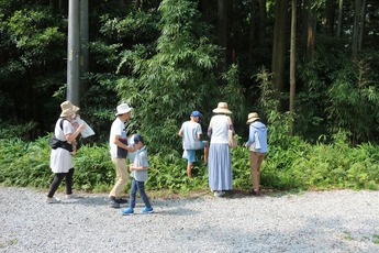 びっくり生きものアラカルト