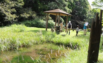 びっくり生きものアラカルト