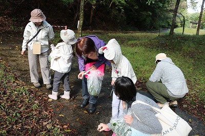 びっくり生きものアラカルト