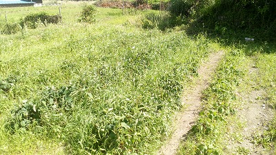 田んぼと畑の学校