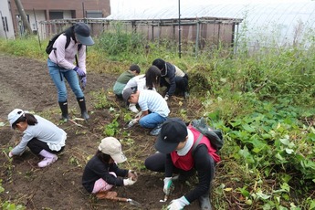 田んぼと畑の学校