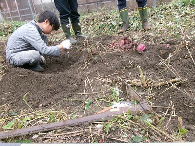 田んぼと畑の学校