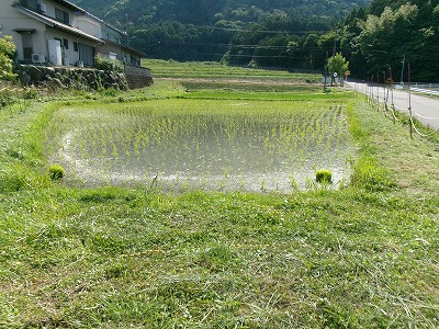 田んぼと畑の学校