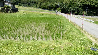 田んぼと畑の学校
