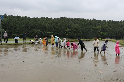 田んぼと畑の学校