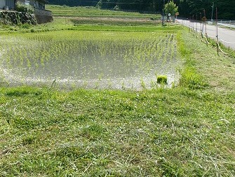 田んぼと畑の学校