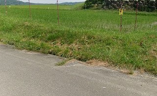 田んぼと畑の学校