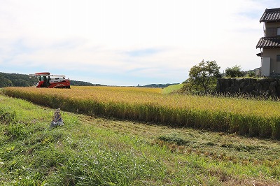 田んぼと畑の学校