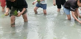 田んぼと畑の学校