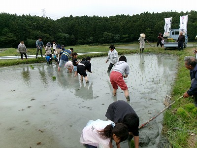 田んぼと畑の学校