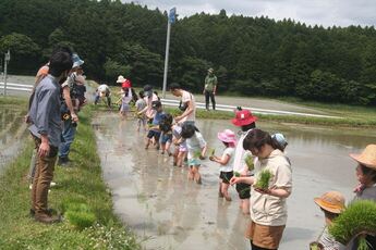 田んぼと畑の学校