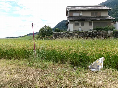 田んぼと畑の学校