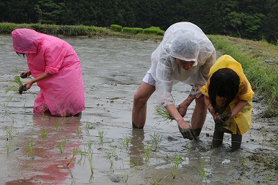 田んぼと畑の学校