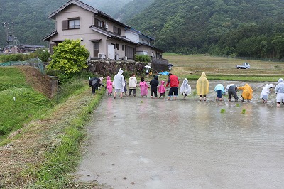 田んぼと畑の学校