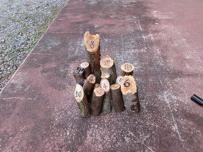 ”みなっち”と空と森の遊び時間