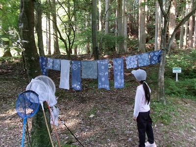 ”みなっち”と空と森の遊び時間