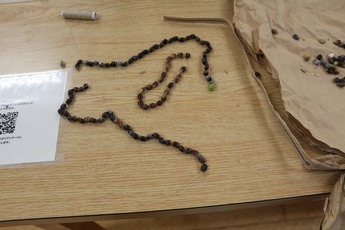 ”みなっち”と空と森の遊び時間