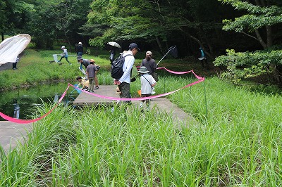 昆虫観察会