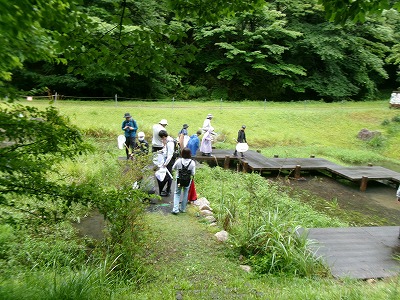 親子で楽しむ昆虫観察会