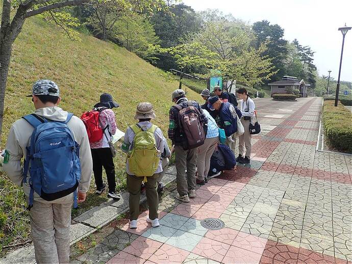 写真：令和7年度「春の動植物をたずねて」