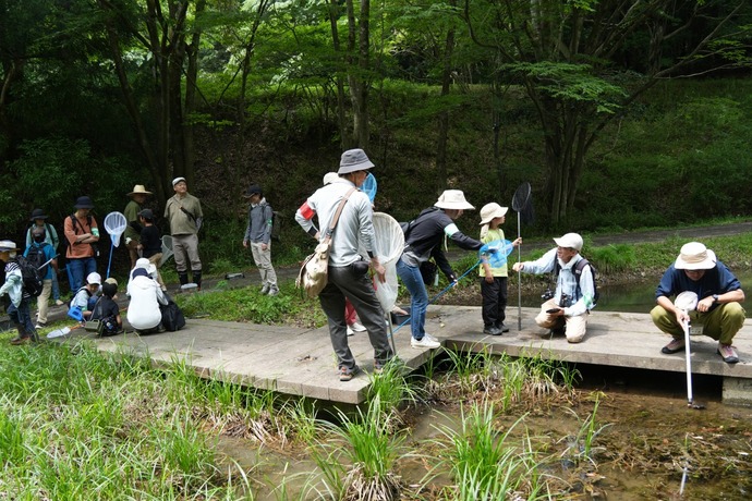 令和7年度の「屋根のない学校の自然観察」のようす
