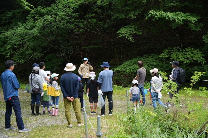 写真：令和7年度「植物標本をつくろう」