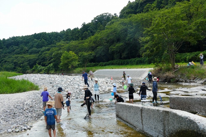 写真：令和6年度「宇賀川の自然調べ」