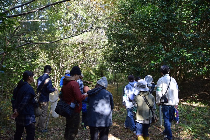ふるさとの森の自然観察