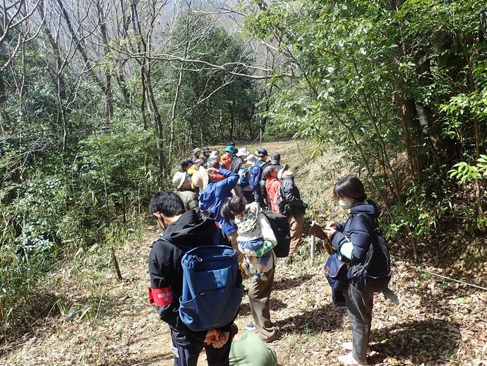 写真：令和6年度「早春の花を見る会」