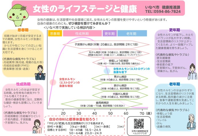 女性のライフサイクル