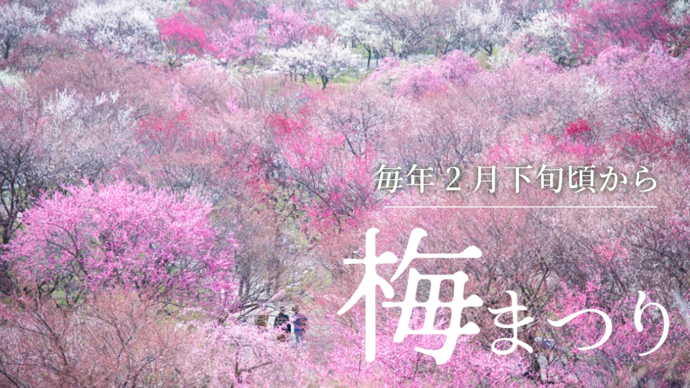 いなべ市農業公園 梅まつり（外部リンク・新しいウインドウで開きます）