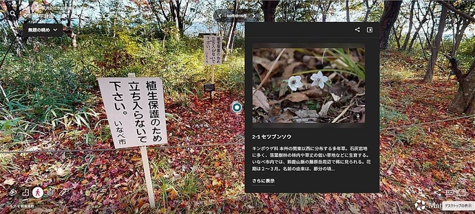 ふるさとの森入口（外部リンク・新しいウインドウで開きます）